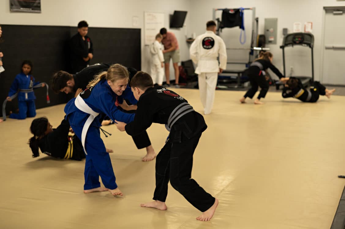 Labyrinth Jiu Jitsu Little Warriors (Ages 9-12):