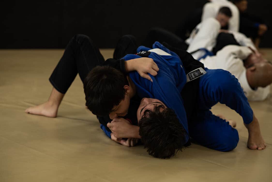 Labyrinth Jiu Jitsu Memberships image